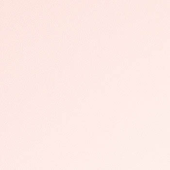 【サンプル専用ページ】サンゲツ リアテック 日本製 カラー （カットサンプル）｜kabecollepro｜12