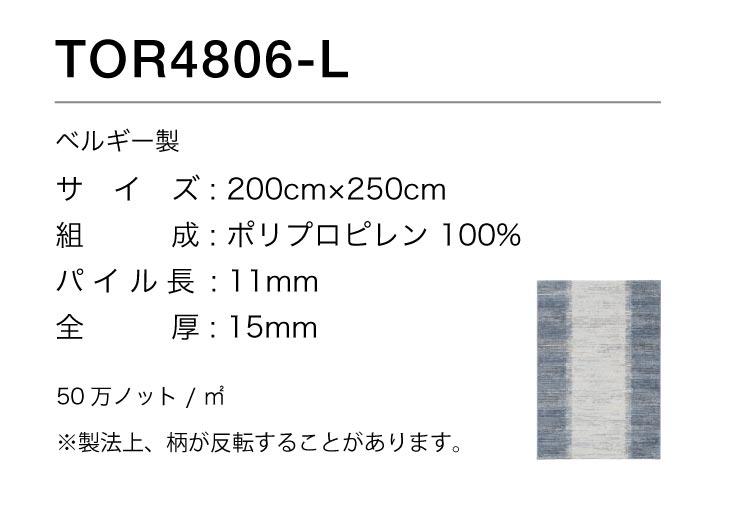 東リ（TOLI） ラグ 防ダニ ラグ 250x200cm ラグマット ボーダー