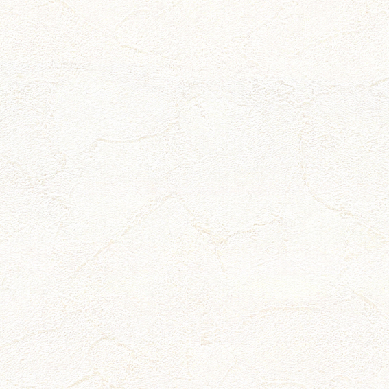 壁紙 犬 ネコ キズに強い クロス 白クロス ホワイトクロス のりなし 汚れ防止 抗菌 張り替え DIY リフォーム 国産 賃貸 diy ペット｜kabegami-doujou｜02