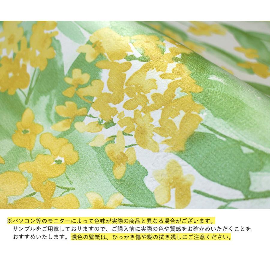 壁紙 ボタニカル柄 のり付き クロス 南国 ジャングル 緑 植物 モンステラ 花柄 フラワー おしゃれ 生のり付き 壁紙の上から貼れる｜kabegami-doujou｜05
