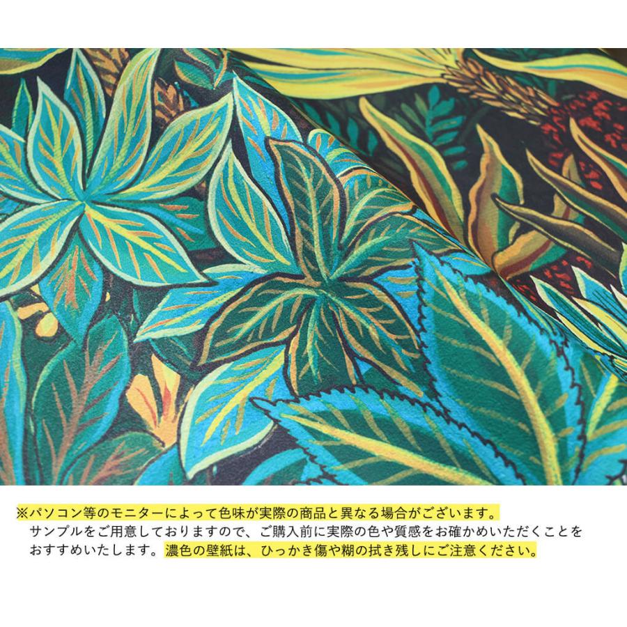 壁紙 ボタニカル柄 のり付き クロス 南国 ジャングル 緑 植物 モンステラ 花柄 フラワー おしゃれ 生のり付き 壁紙の上から貼れる｜kabegami-doujou｜06