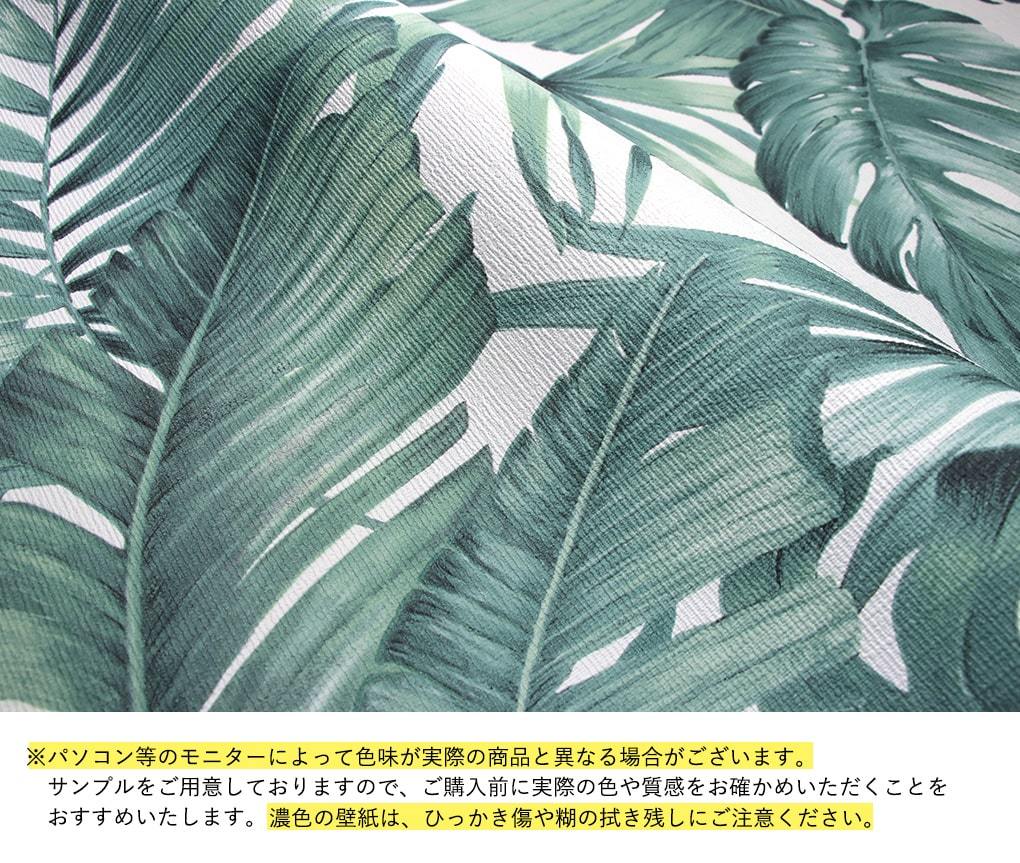 壁紙 ボタニカル柄 のり付き クロス 南国 ジャングル 緑 植物 モンステラ 花柄 フラワー おしゃれ 生のり付き 壁紙の上から貼れる｜kabegami-doujou｜08
