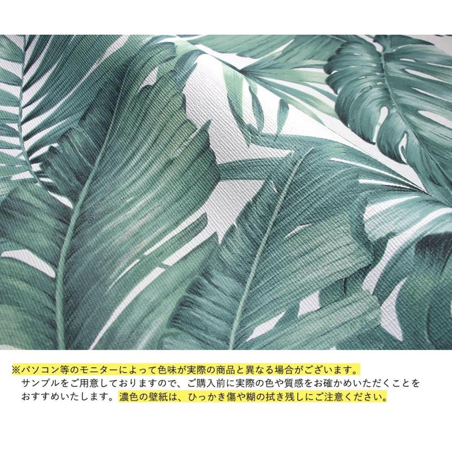 壁紙 ボタニカル柄 のり付き クロス 南国 ジャングル 緑 植物 モンステラ 花柄 フラワー おしゃれ 生のり付き 壁紙の上から貼れる｜kabegami-doujou｜08