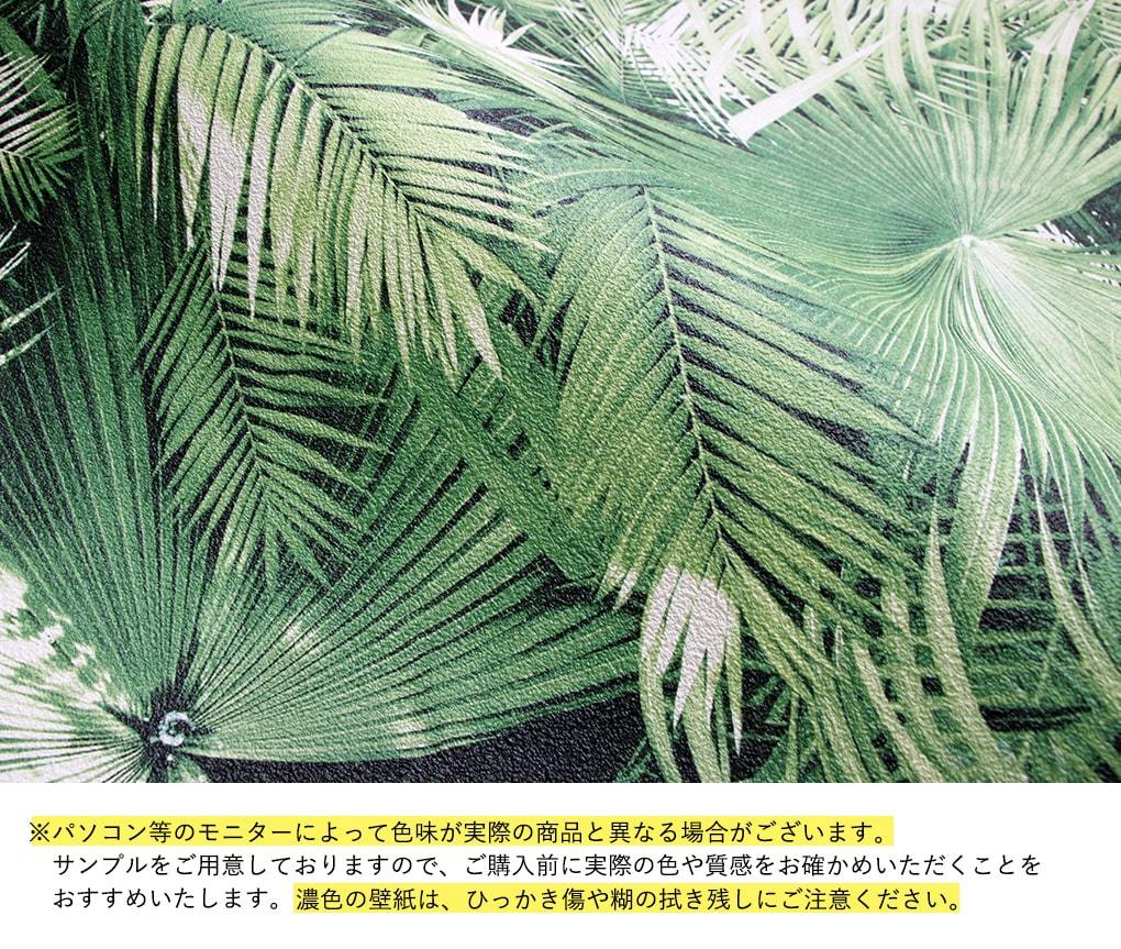 壁紙 ボタニカル柄 のり付き クロス 南国 ジャングル 緑 植物 モンステラ 花柄 フラワー おしゃれ 生のり付き 壁紙の上から貼れる｜kabegami-doujou｜09