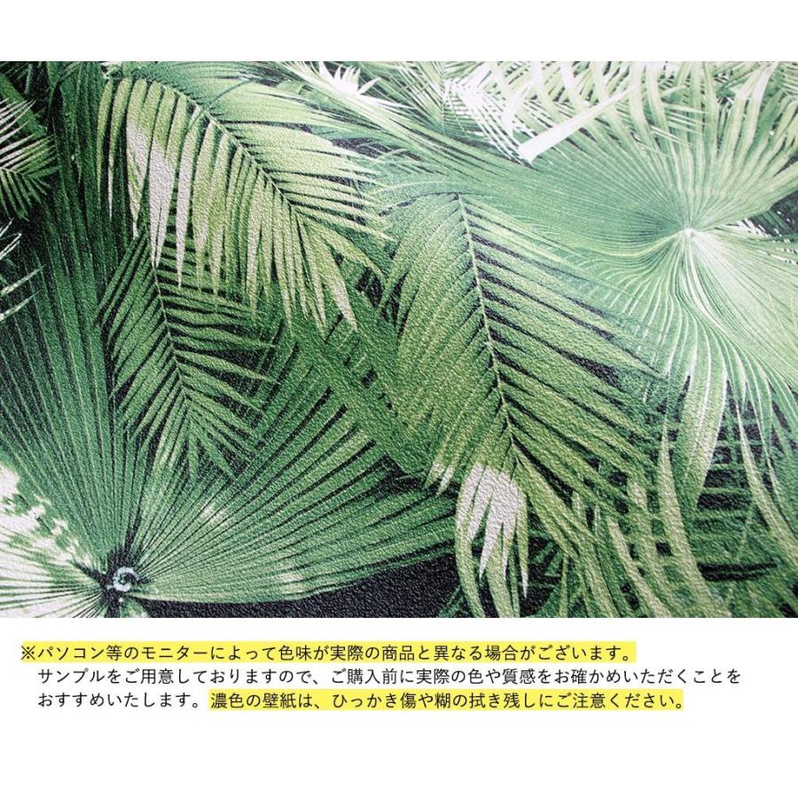 壁紙 ボタニカル柄 のり付き クロス 南国 ジャングル 緑 植物 モンステラ 花柄 フラワー おしゃれ 生のり付き 壁紙の上から貼れる｜kabegami-doujou｜09