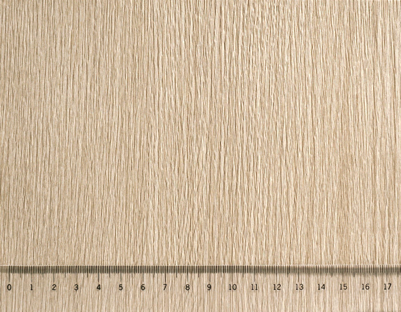 tws-8381_01