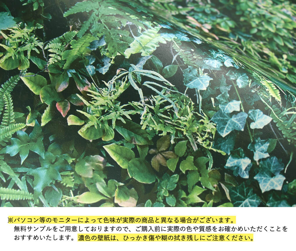 壁紙 ボタニカル柄 のり付き クロス 南国 ジャングル 緑 植物 モンステラ 花柄 フラワー おしゃれ 生のり付き 壁紙の上から貼れる｜kabegami-doujou｜14