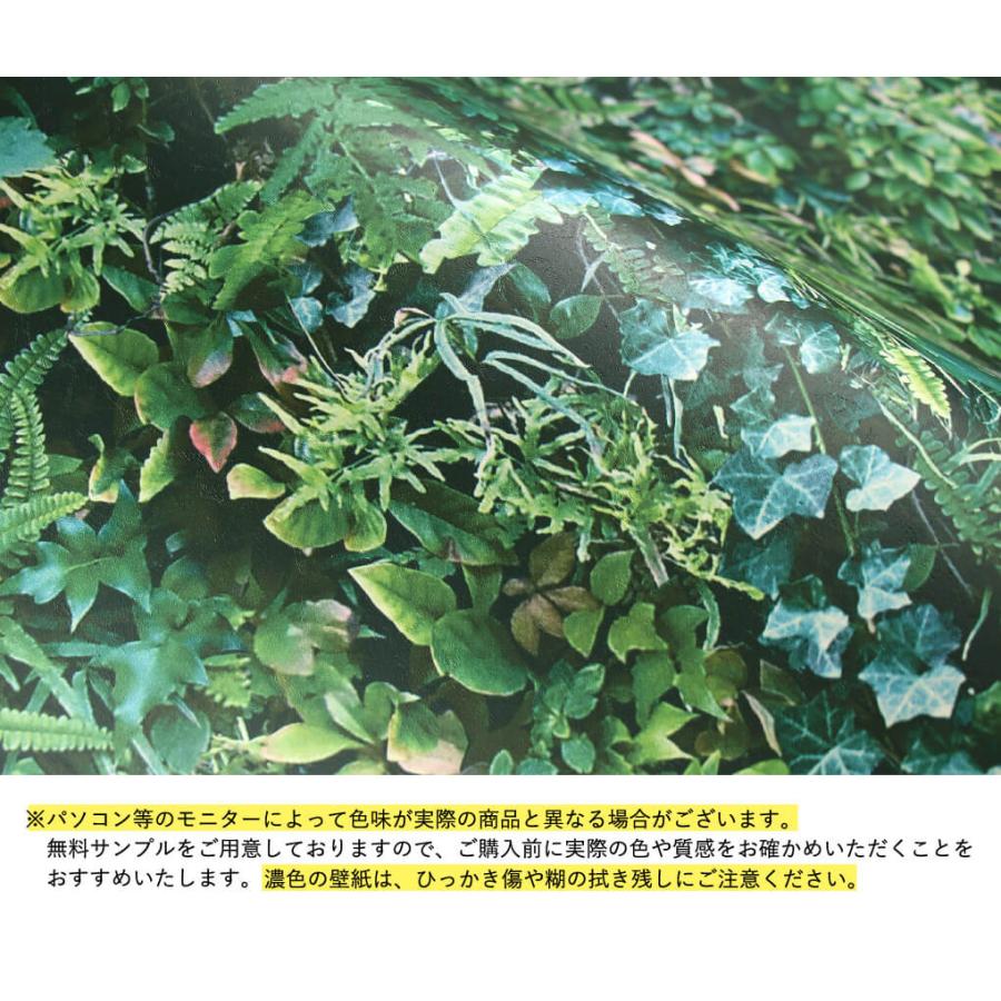 壁紙 ボタニカル柄 のり付き クロス 南国 ジャングル 緑 植物 モンステラ 花柄 フラワー おしゃれ 生のり付き 壁紙の上から貼れる｜kabegami-doujou｜14