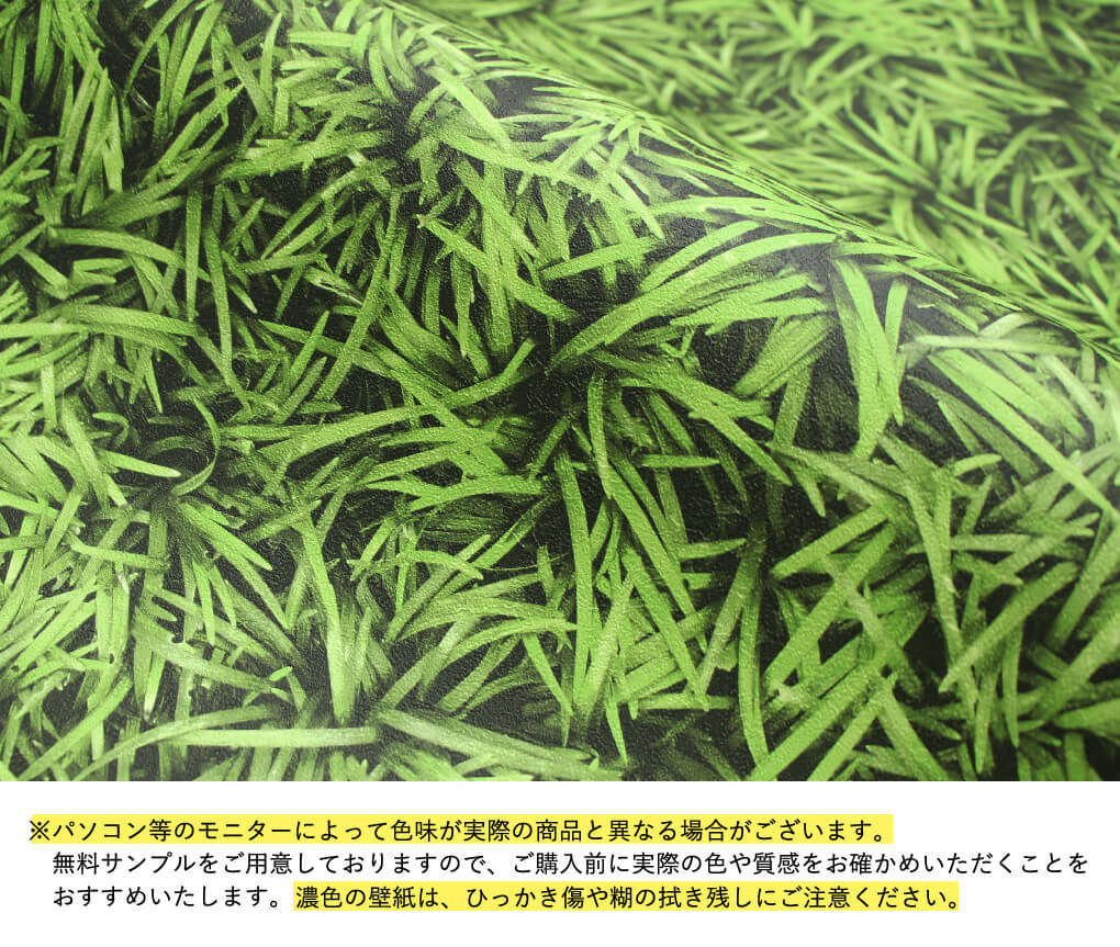 壁紙 ボタニカル柄 のり付き クロス 南国 ジャングル 緑 植物 モンステラ 花柄 フラワー おしゃれ 生のり付き 壁紙の上から貼れる｜kabegami-doujou｜15