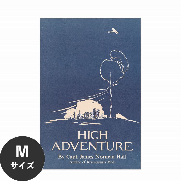 �|�X�^�[ �͂����� �A�[�g�|�X�^�[ �J�o�[�f�U�C�� ���_�� �������œ\��� HP 00375 M�T�C�Y 45×67cm