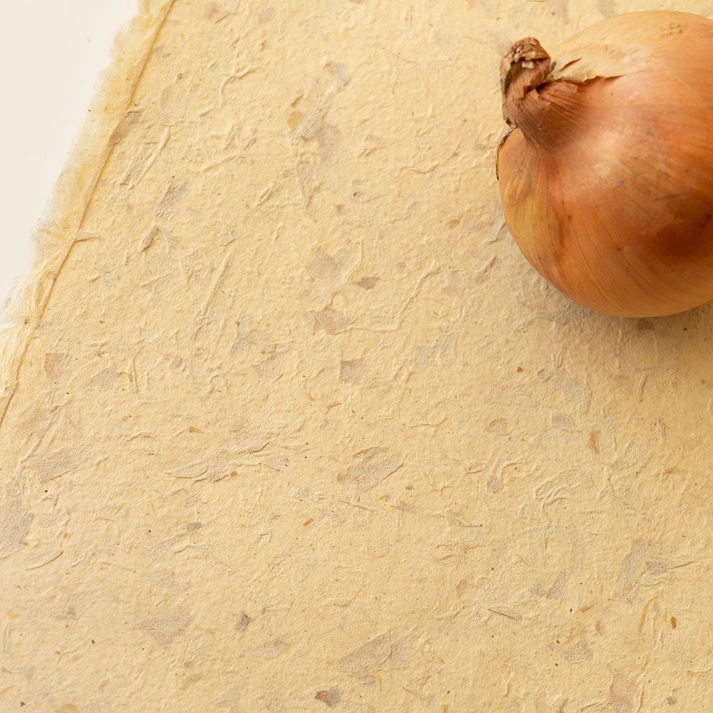 壁紙屋本舗 Food Paper フードペーパー 巾1m×2m (1枚単位で販売) 野菜から生まれた手漉き壁紙 和紙 土に還る 自然素材 ナチュラル｜kabegamiya-honpo｜03