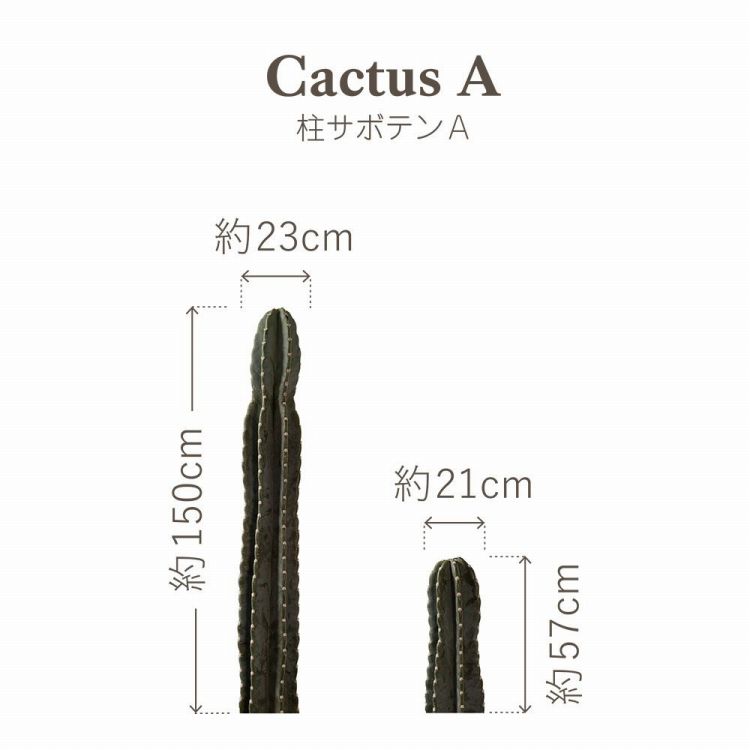 貼ってはがせる 観葉植物 ステッカー Lサイズ 6柄 ボタニカル ウォール