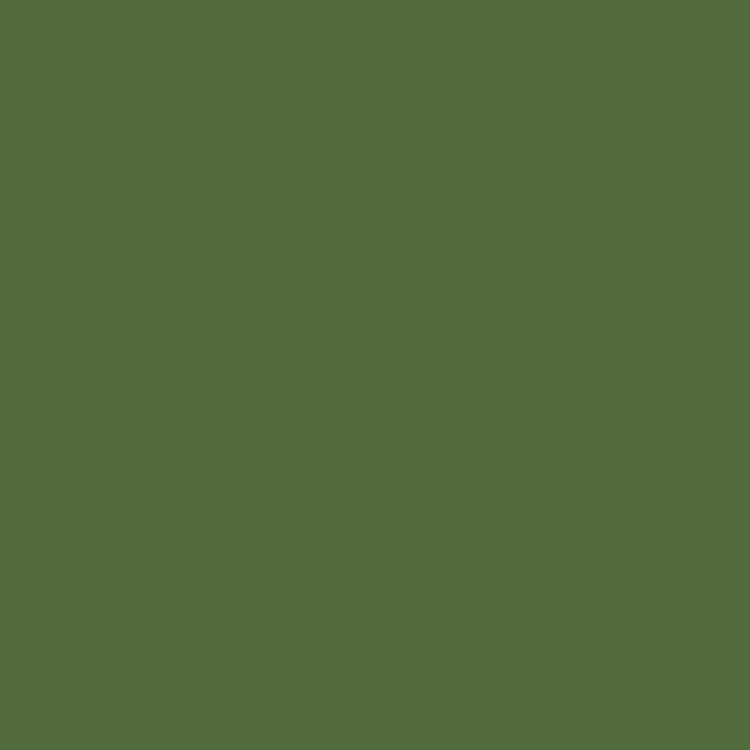 ペンキ 水性塗料 2L 道具セット イマジン ウォール ペイント ディープグリーン ペイント 8色 緑 深緑 青緑 マット 壁 天井 屋内 多用途 メーカー直送｜kabegamiya-honpo｜02