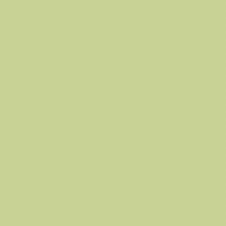 ペンキ 水性塗料 2L イマジン マカロンペイント 全8色 壁 天井 屋内用 マット 水色 ブルー  黄色 ピンク 紫 緑 ベージュ メーカー直送｜kabegamiya-honpo｜03