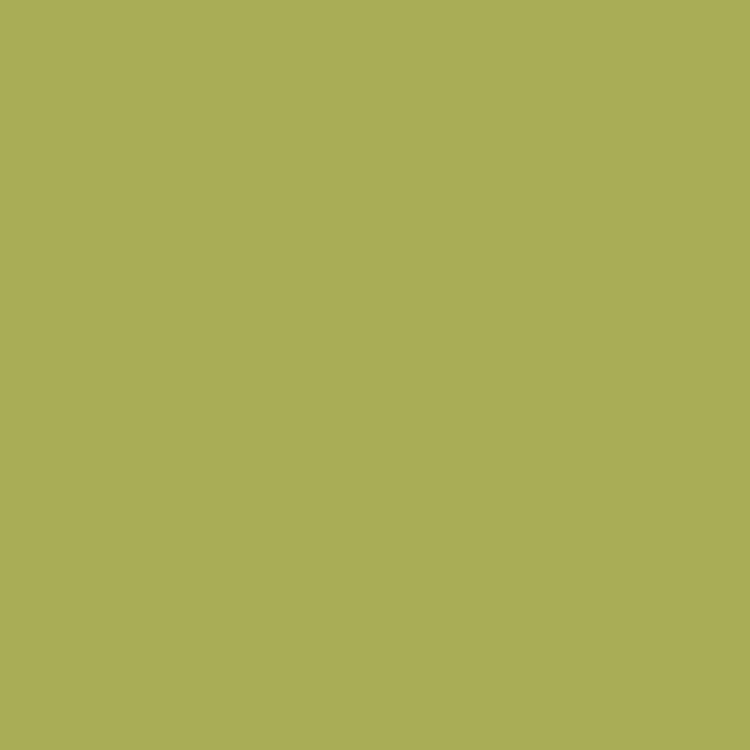 ペンキ 水性塗料 アメリカン ヴィンテージ カラーズ 2L 黄色 茶色 緑 黄緑 ピンク 白 ベージュ グレー 黒 青 ブルー 水色 赤 レッド｜kabegamiya-honpo｜04