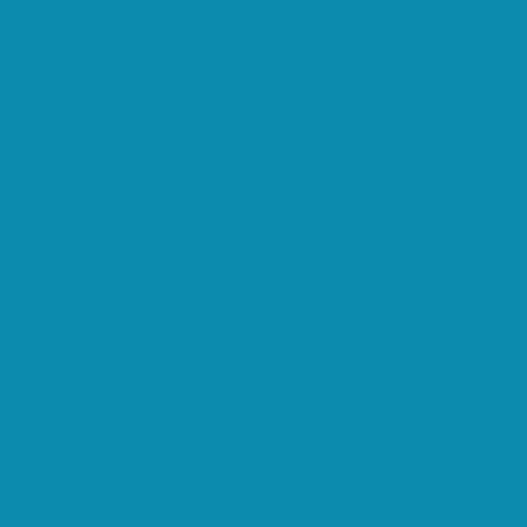 ペンキ 水性塗料 ノルディック ビンテージカラーズ 4L 道具セット 水色 青 ブルー 茶色 ベージュ 黄緑 グリーン ピンク 赤 黄色 グレー｜kabegamiya-honpo｜02