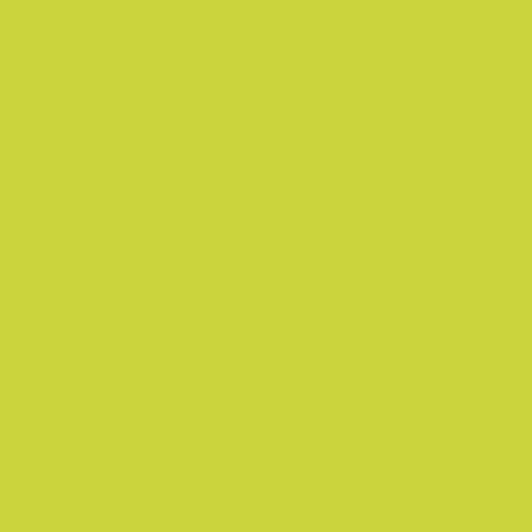 ペンキ 水性塗料 ノルディック ビンテージカラーズ 4L 道具セット 水色 青 ブルー 茶色 ベージュ 黄緑 グリーン ピンク 赤 黄色 グレー｜kabegamiya-honpo｜12