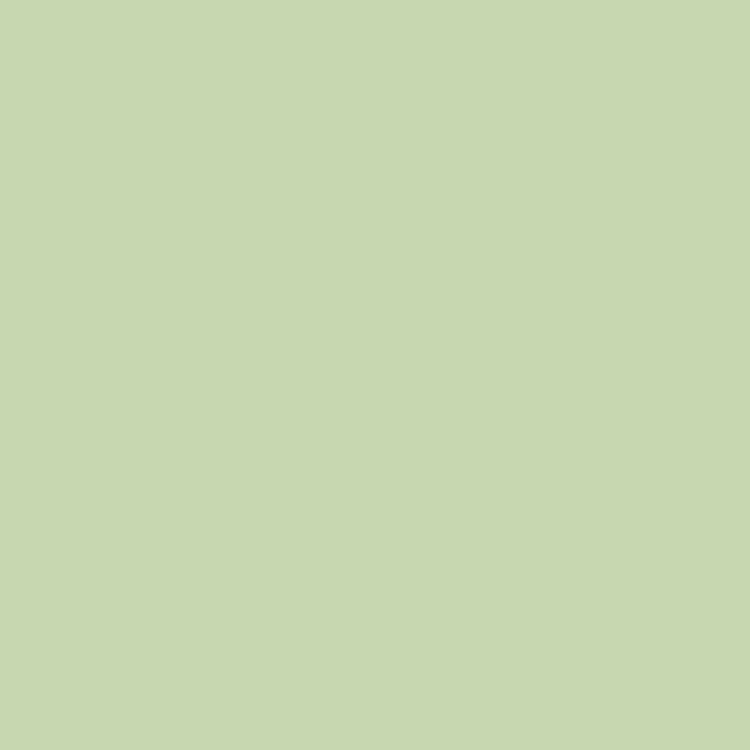 ペンキ 水性塗料 ノルディック ビンテージカラーズ 4L 道具セット 水色 青 ブルー 茶色 ベージュ 黄緑 グリーン ピンク 赤 黄色 グレー｜kabegamiya-honpo｜05