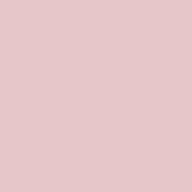 ペンキ 水性塗料 ジャパニーズ ビンテージカラーズ 2L 道具セット 青 紺 藍色 ピンク オレンジ 黄色 グレー 茶色 緑 紫 緑 薄緑 赤 グレー 黒｜kabegamiya-honpo｜03