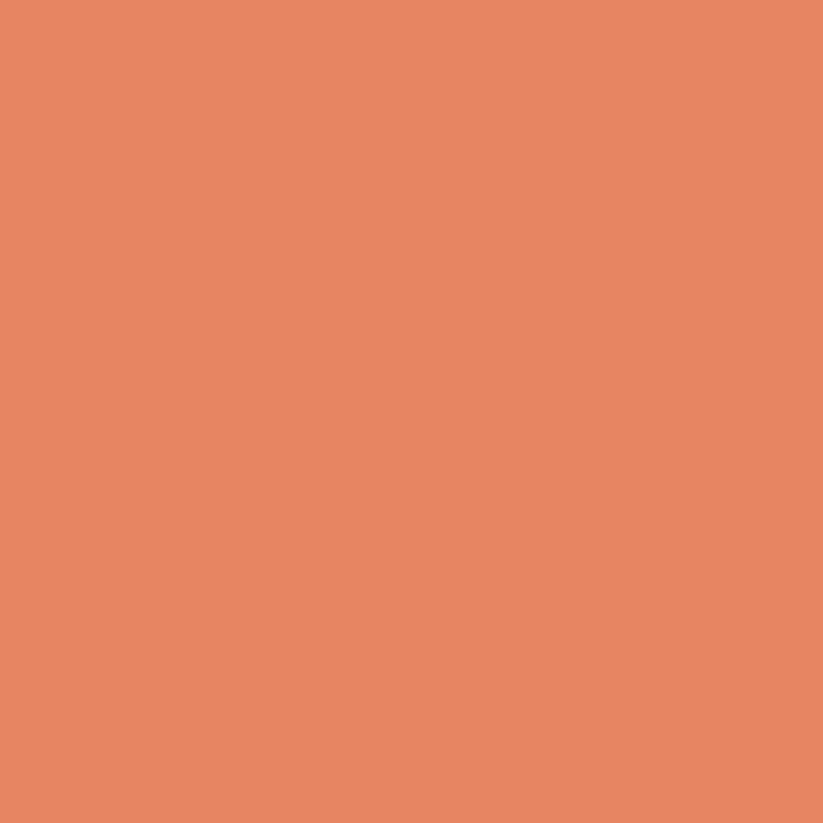 ペンキ 水性塗料 ジャパニーズ ビンテージカラーズ 2L 道具セット 青 紺 藍色 ピンク オレンジ 黄色 グレー 茶色 緑 紫 緑 薄緑 赤 グレー 黒｜kabegamiya-honpo｜09