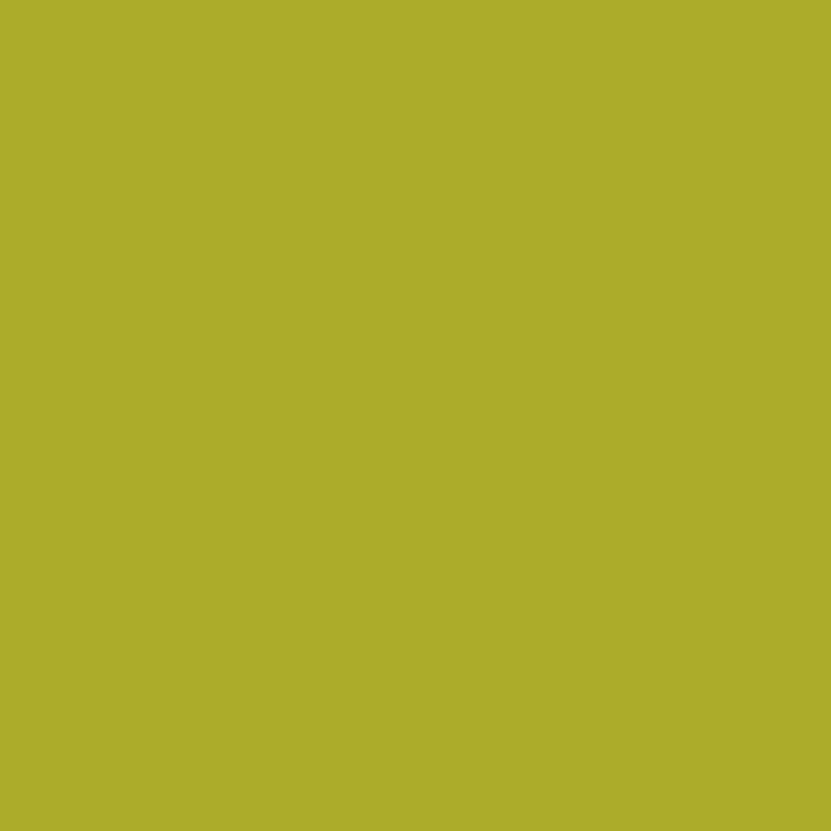 ペンキ 水性塗料 MUMU PAINT ムームーペイント 4L 道具セット 緑 深緑 グリーン 黄緑 白 黄色 青 水色 ネイビー ブルー グレー ベージュ 赤 紫 - 22