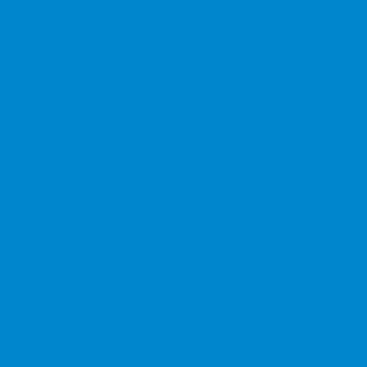 ペンキ 水性塗料 フレンチ ビンテージカラーズ 0.5L 赤 緑 黄緑 深緑 グリーン 黄色 紫 パープル 水色 青 ブルー オレンジ 茶色 ベージュ｜kabegamiya-honpo｜13