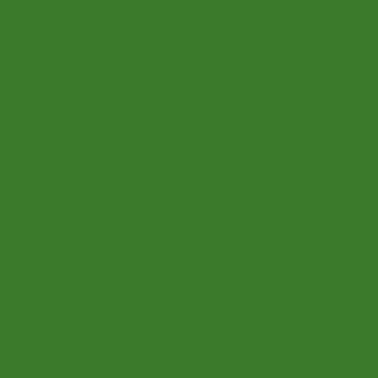 ペンキ 水性塗料 フレンチ ビンテージカラーズ 100ml 赤 緑 黄緑 深緑
