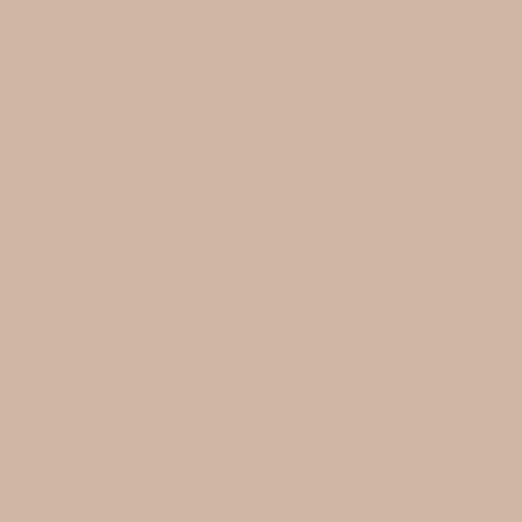 ペンキ 水性塗料 4L   道具セット イマジン ウォール ペイント ボタニカラーズ (壁 天井 屋内) - 63