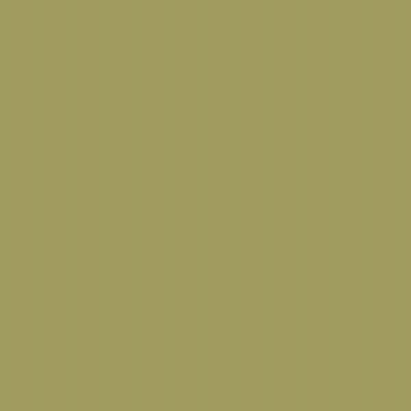 ペンキ 水性 塗料 2L 緑 黄緑 8色 マット つや消し イエロウィッシュグリーンペイント イマジン ウォール ペイント 屋内 室内 壁 天井 木部