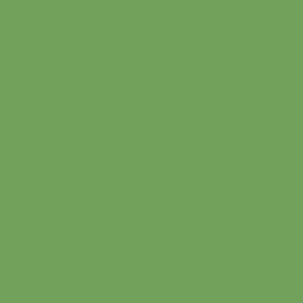 ペンキ 水性 塗料 2L 道具付き 緑 黄緑 8色 マット つや消し イエロウィッシュグリーンペイント イマジン ウォール ペイント 屋内 室内 壁  天井 木部