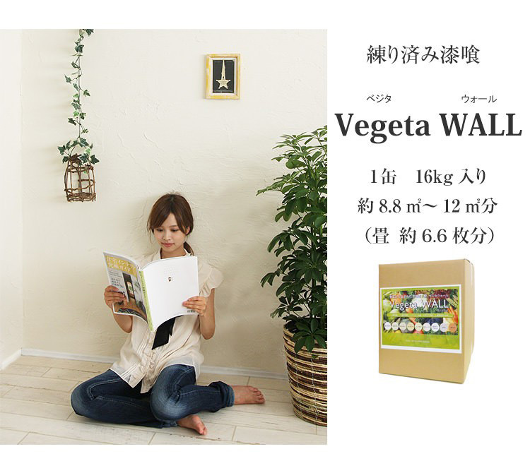 漆喰 しっくい 練済み 塗り壁 ベジタウォール Vegeta WALL 1箱16kg入り 約8.8〜12平米 畳 約6.6枚分