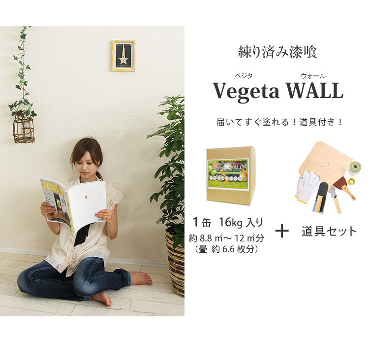 漆喰 しっくい 練済み 塗り壁 ベジタウォール Vegeta WALL 1箱16kg入り