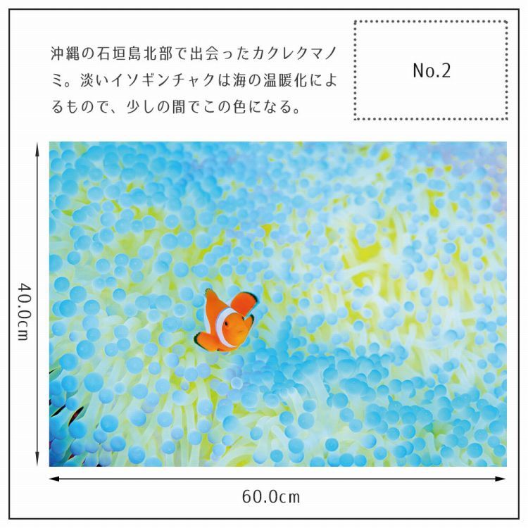 カッティングダイ No.134 子供部屋