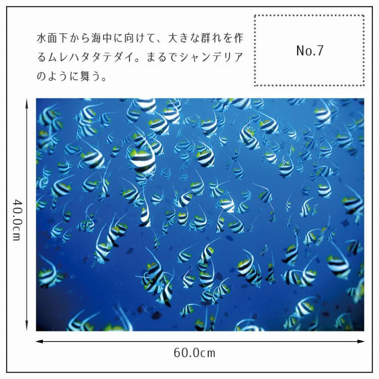 カッティングダイ No.134 子供部屋