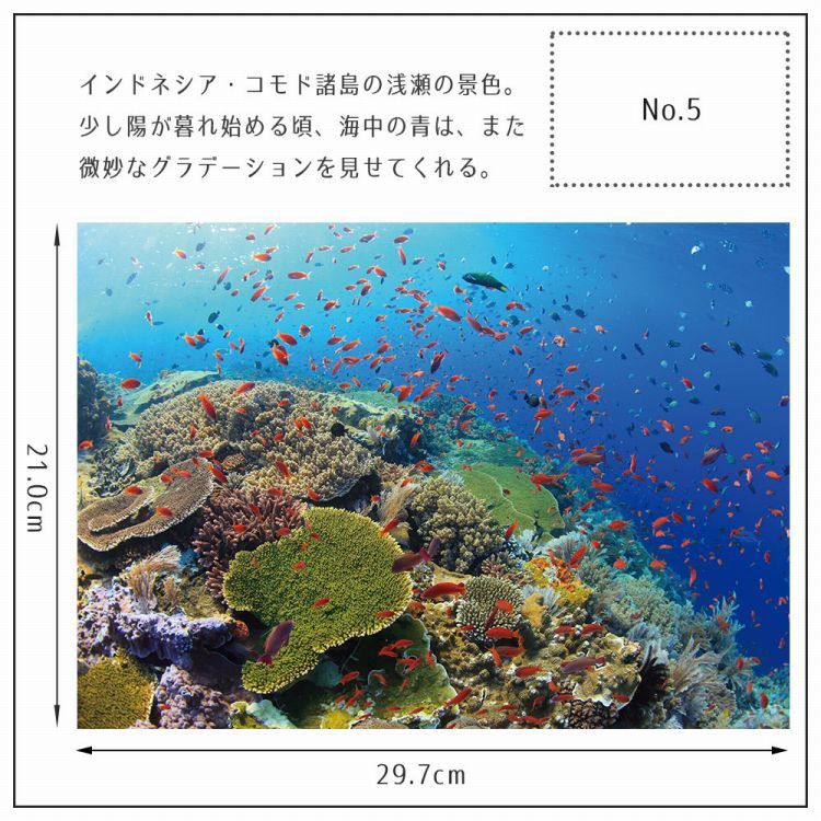 それいゆ「海月のななり」SOLEIL ステッカー付き 新品未使用 f6fcdec319b24bd63d10269143c8cd