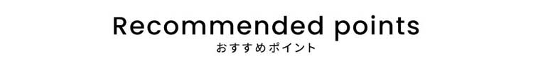 おすすめポイント見出し