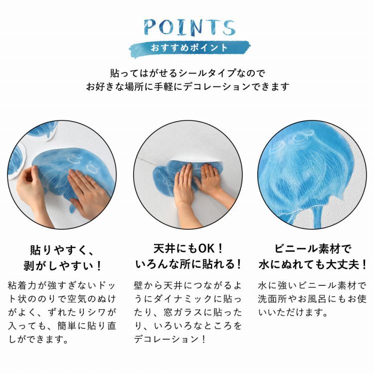 おすすめポイント