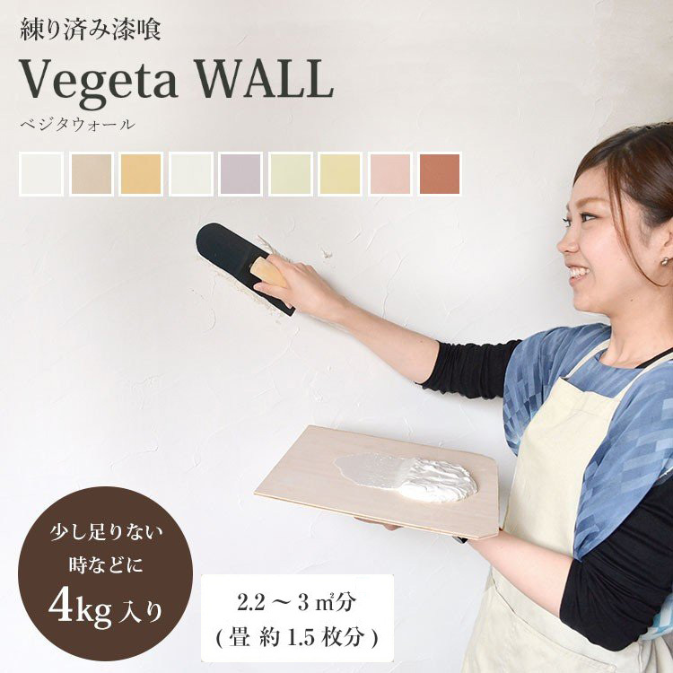 漆喰 しっくい 練済み 塗り壁 ベジタウォール Vegeta WALL 1箱4kg入り