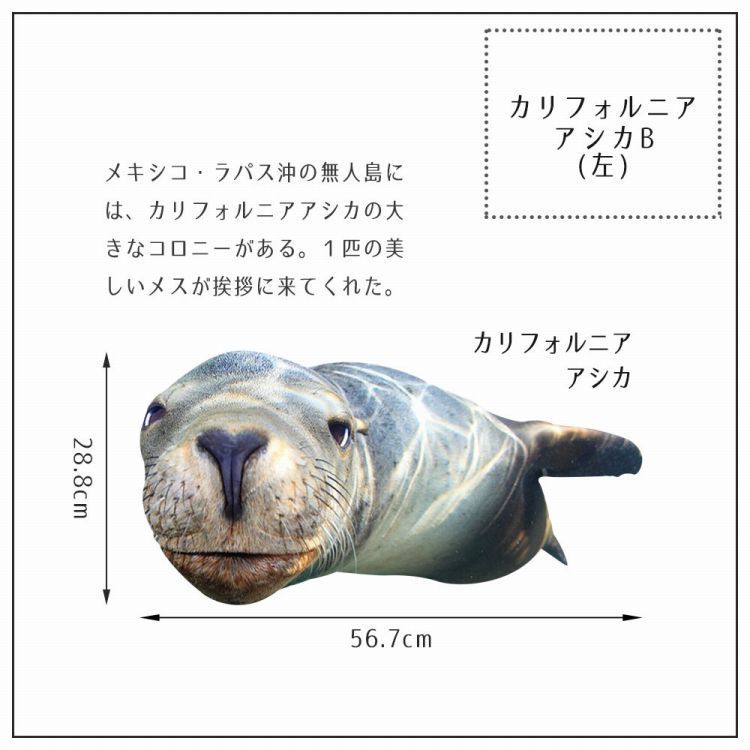 美品 39点セット 海の生き物 ガラス細工 - 工芸品