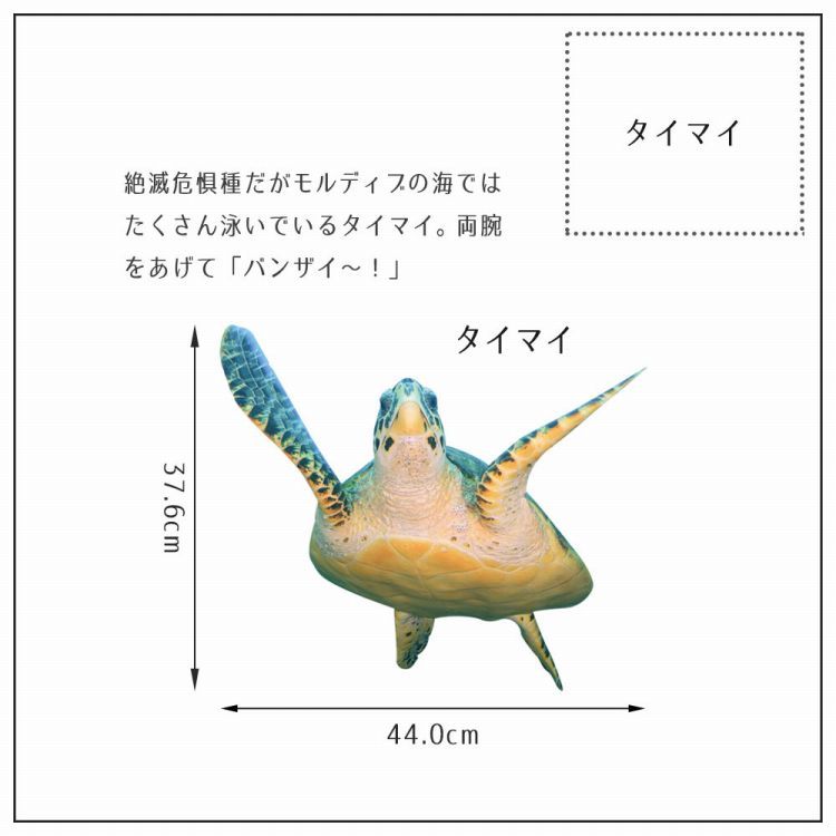 ウォールステッカー 海 はがせる ウォールシール イルカ サメ マンタ M 
