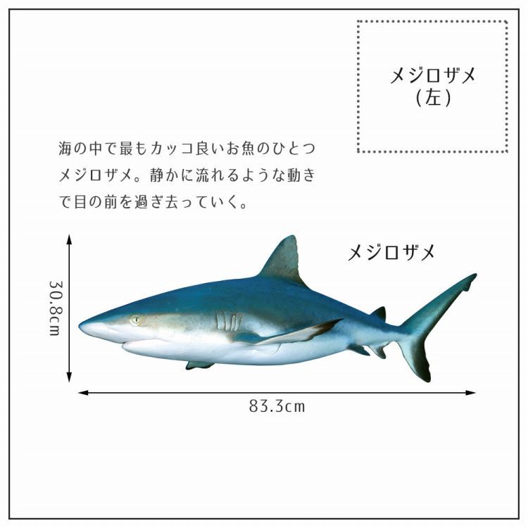 ウォールステッカー 海 はがせる ウォールシール イルカ サメ マンタ MLサイズ 鍵井 靖章 海の生き物 知育 子供部屋 浴室 トイレ 装飾｜kabegamiya-honpo｜05