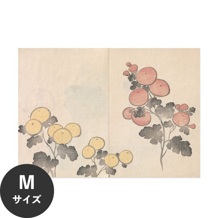 �������œ\��� �͂����� �A�[�g�|�X�^�[ �����F�� ���{�� �e M�T�C�Y 64x45cm ����OK Hattan Art Poster �n�b�^���A�[�g�|�X�^�[ �t���[���Ȃ� HP-00142