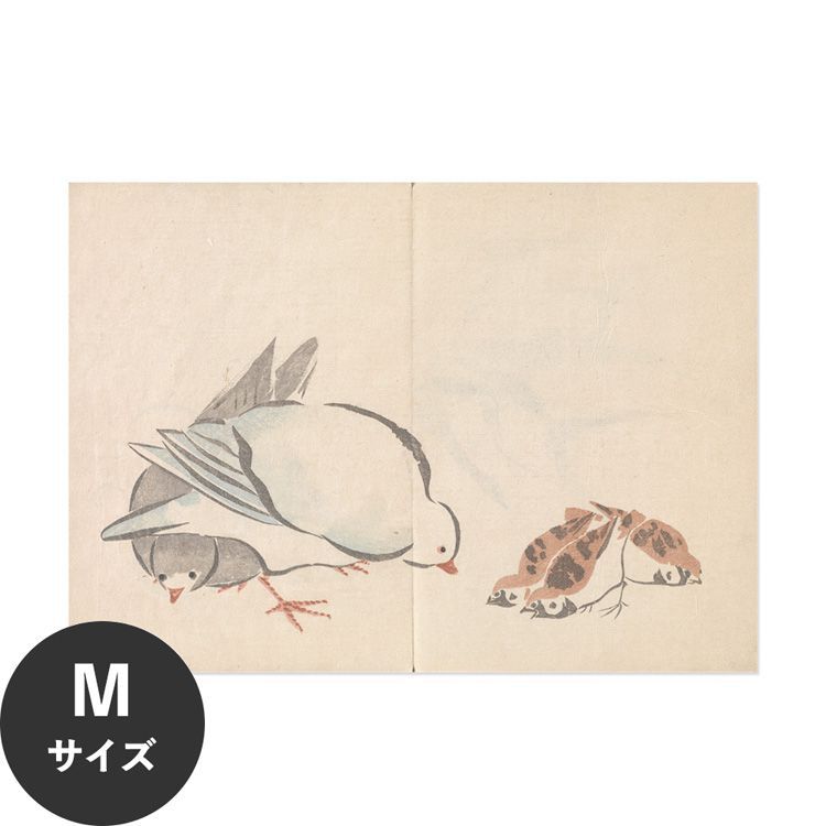 �������œ\��� �͂����� �A�[�g�|�X�^�[ �����F�� ���{�� �� M�T�C�Y 64x45cm ����OK Hattan Art Poster �n�b�^���A�[�g�|�X�^�[ �t���[���Ȃ� HP-00143