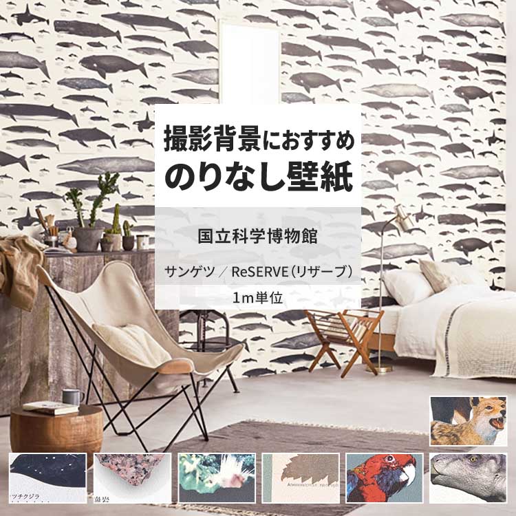 サンゲツ 壁紙 のりなし m単位 おしゃれ 壁紙クロス 張り替え