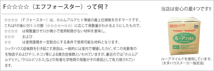 エフフォースター