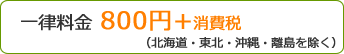 送料一律800円+消費税