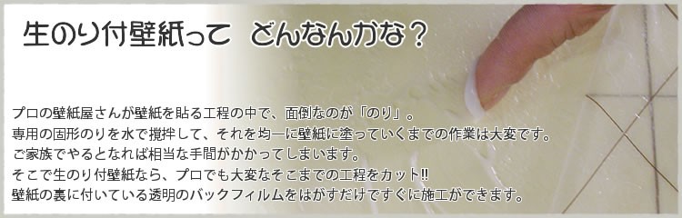 生のりってどんなんかな