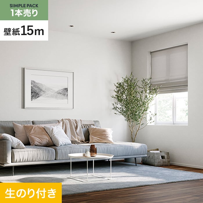 �ǎ� �N���X �̂�t�� �V���v���p�b�N (�X���b�g�ǎ�90cm��) 15m SP2529 (��SP9752)