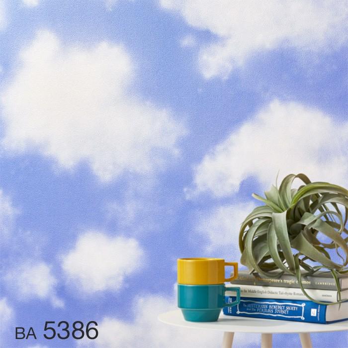 卸売り 壁紙 クロス のり付き壁紙 シンコール BIGACE 雲柄調 BA5386 stk-architecture.fr