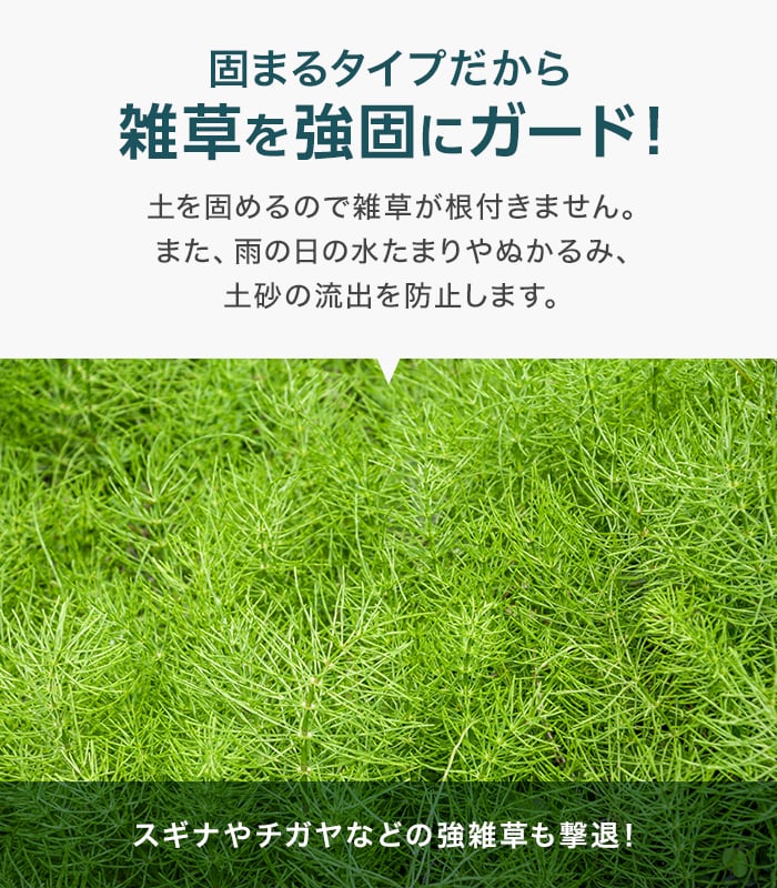 防草土 法人・個人事業主様専用 固まる土 固まる砂 防草マサスペシャルハード 1袋 : bs-mats0004 : DIYSHOP RESTA  Yahoo!店 - 通販 - Yahoo!ショッピング